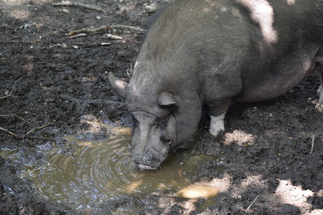 向穆帅致歉曼联名宿承认错怪了穆里尼奥.